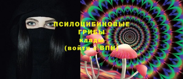 прущие крисы Богородицк