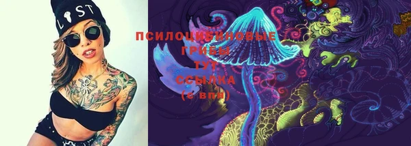 прущие крисы Богородицк