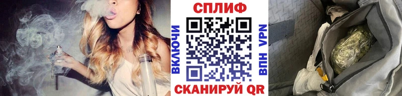 Бошки марихуана конопля Егорьевск